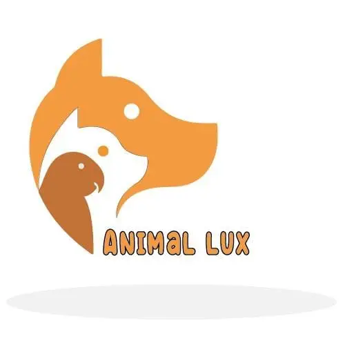 whatsapp image 2026 02 17 at 14.16.03